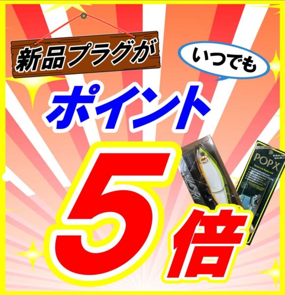 新品プラグ ポイント5倍