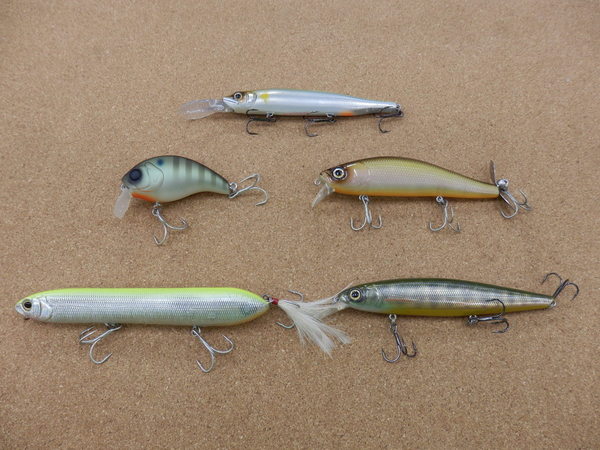 201710221466.JPG