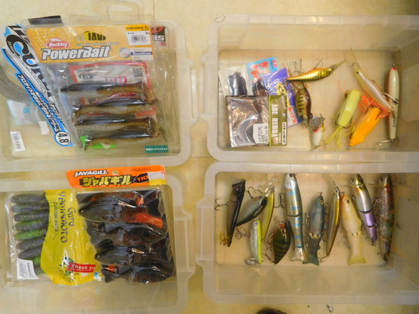 201881113254.JPG