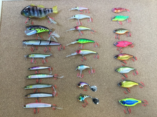 2018828161021.JPG
