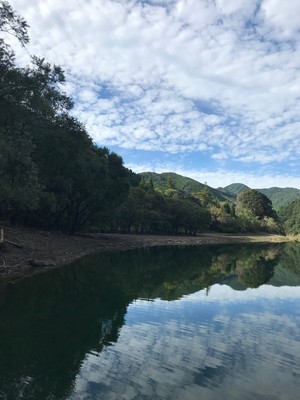 2018102154920.jpg