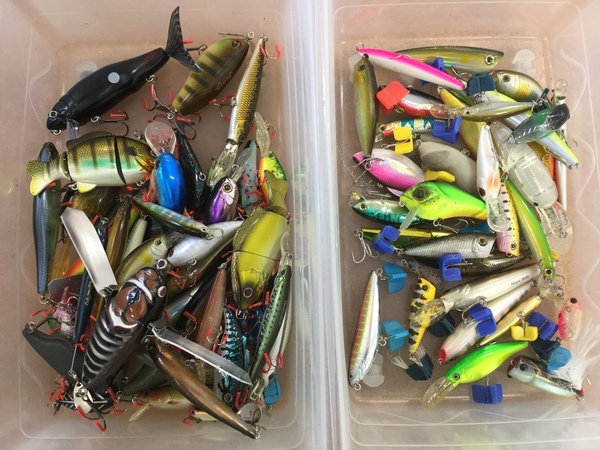 2019817115934.JPG