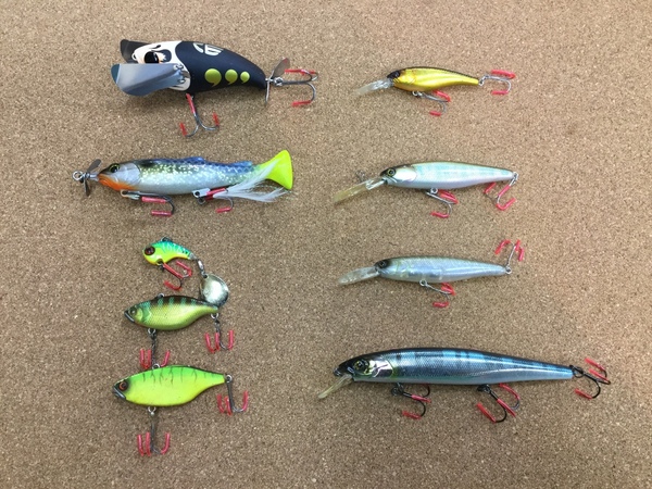 201988162536.JPG