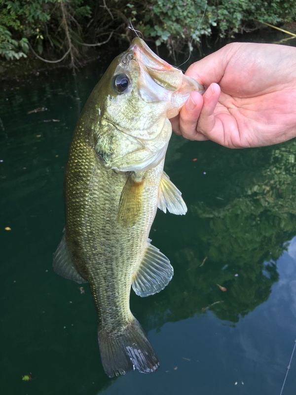 2017921131128.JPG