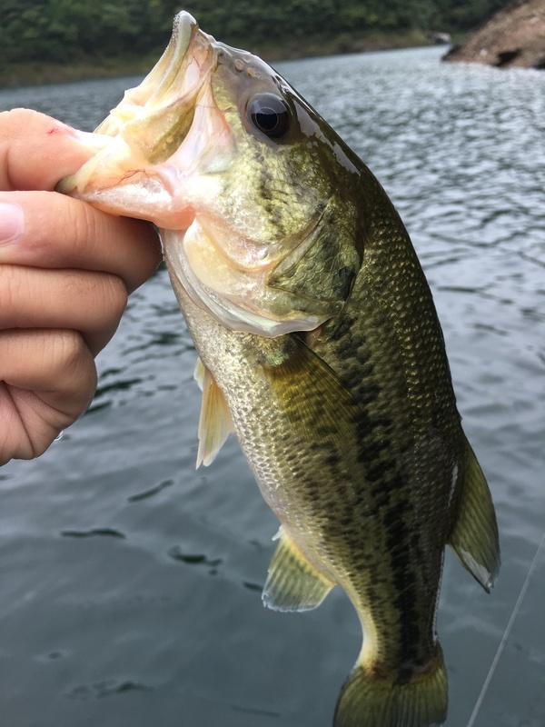 20171019132151.JPG
