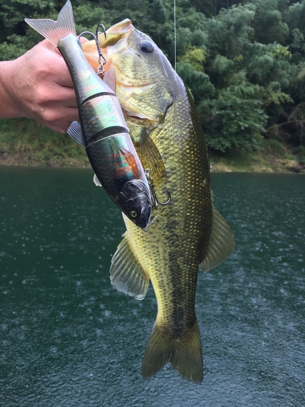 20171019132649.JPG