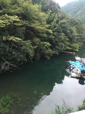 2017102115657.jpg