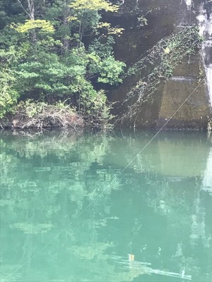 2017102122419.jpg