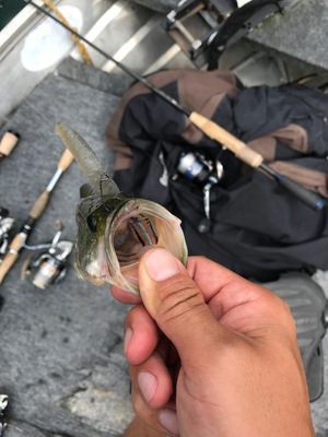 2017103161217.jpg