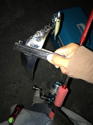 2017108183654.jpg