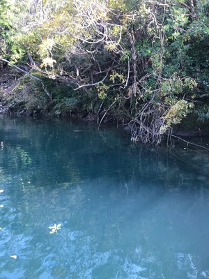 20171118165614.jpg