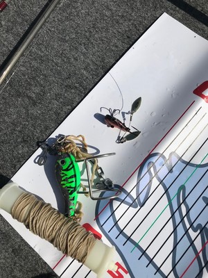 20183222218.jpg