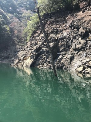 201843171250.jpg