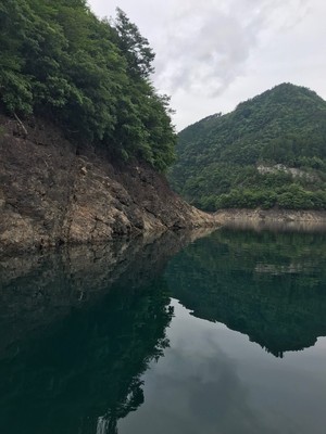 201861184212.jpg