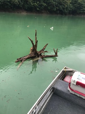 2018101221623.jpg
