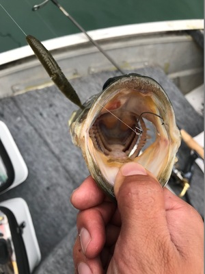 20181026153956.jpg