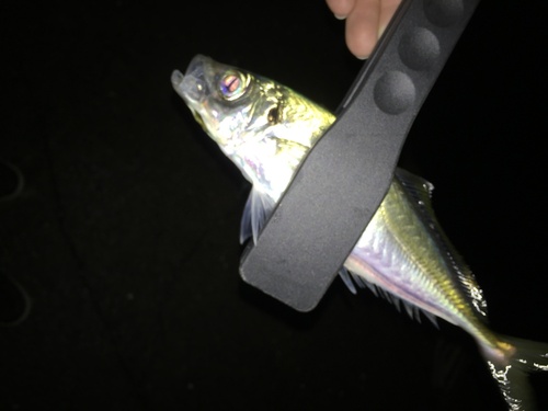 20181221221756.JPG