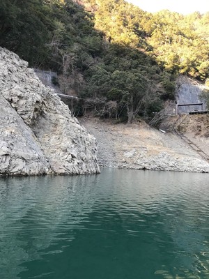 2019111171553.jpg