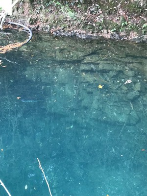 201951162036.jpg