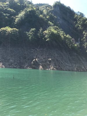 201959155230.jpg