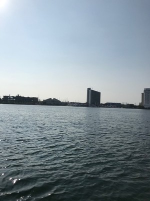 201961521239.jpg