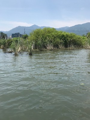 2019615214019.jpg