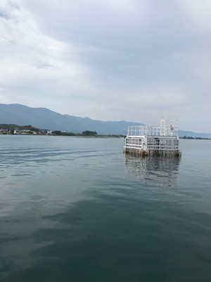 201961522145.jpg
