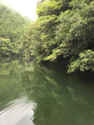 2019728135440.jpg