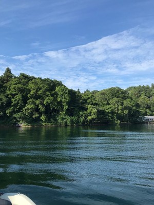 201981220418.jpg