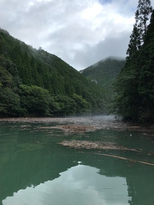 201982315420.jpg