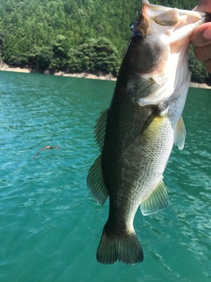 2019912193026.jpg