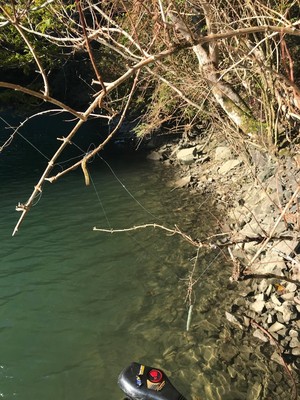 20191111125411.jpg