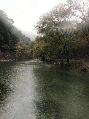 2019122205252.jpg