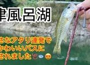 葛の葉店スタッフ　津風呂湖釣果情報　【２０２６年１０月１日】サムネイル