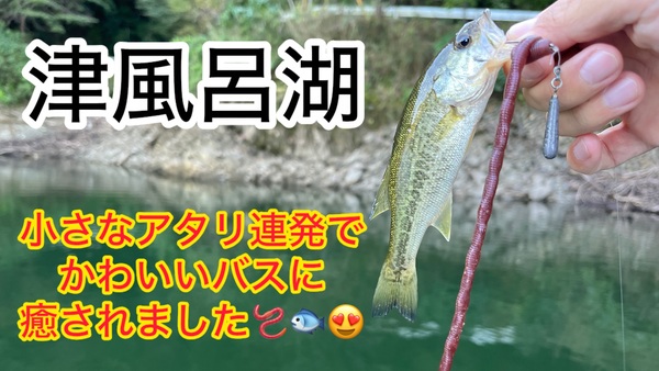 葛の葉店スタッフ　津風呂湖釣果情報　【２０２６年１０月１日】サムネイル