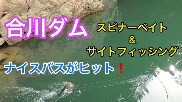 葛の葉店スタッフ　合川ダム釣果情報　【２０２１年１０月２１日】サムネイル