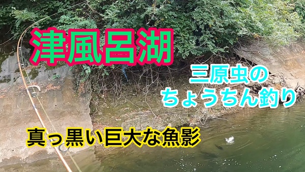 葛の葉店スタッフ　津風呂湖釣果情報　【２０２１年１０月２２日】サムネイル