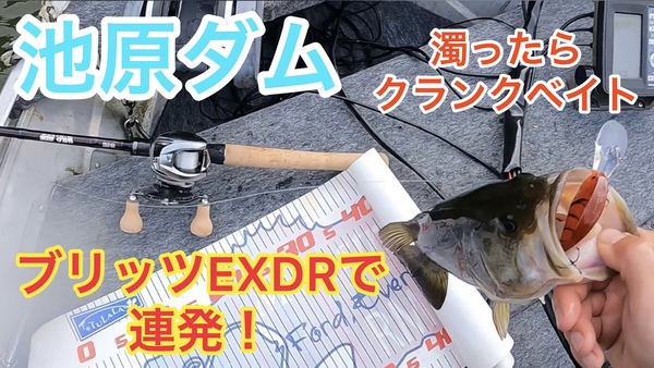 葛の葉店スタッフ　池原ダム釣果情報　【２０２２年３月１７日】サムネイル