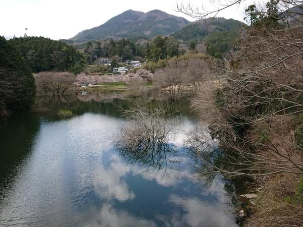 寝屋川店スタッフ　室生ダム釣果情報㉘　「２０２２年　4月５日」サムネイル