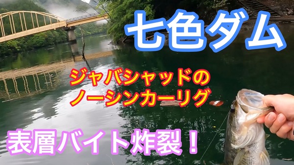 葛の葉店スタッフ　七色ダム釣果情報　【２０２２年４月２７日】サムネイル