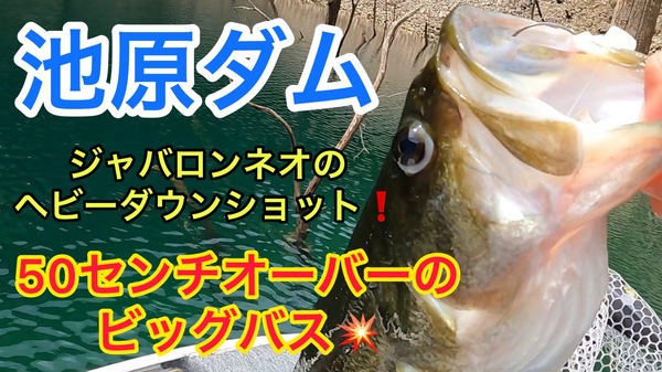 葛の葉店スタッフ　池原ダム釣果情報　【２０２２年５月２７日】サムネイル