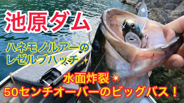 葛の葉店スタッフ　池原ダム釣果情報　【２０２２年６月３０日】サムネイル