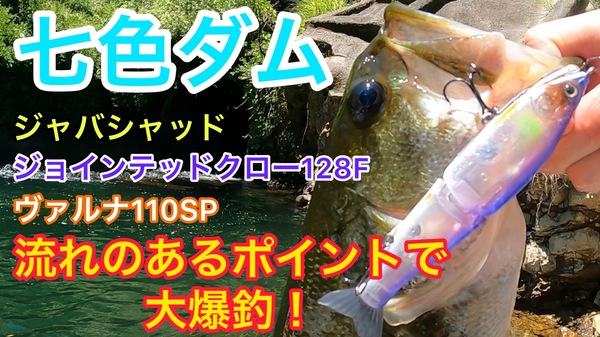 葛の葉店スタッフ　七色ダム釣果情報　【２０２２年６月２９日】サムネイル