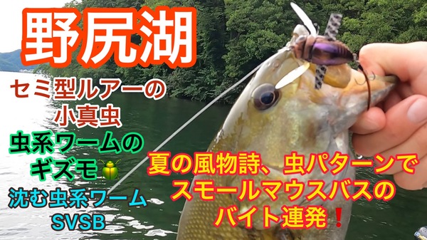 葛の葉店スタッフ　「番外編」野尻湖スモールマウスバス釣果情報（三日目）【２０２２年７月１４日】サムネイル