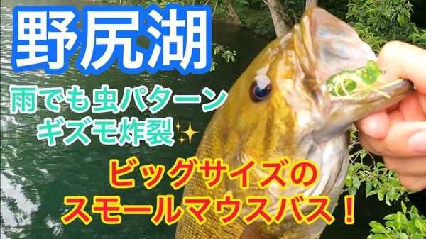 葛の葉店スタッフ　「番外編」野尻湖スモールマウスバス釣果情報（一日目）【２０２２年７月１２日】サムネイル