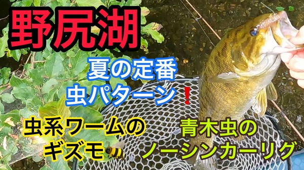 葛の葉店スタッフ　「番外編」野尻湖スモールマウスバス釣果情報（二日目）【２０２２年７月１３日】サムネイル