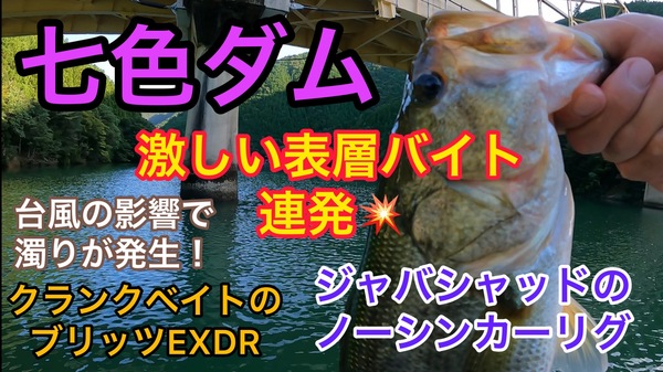 葛の葉店スタッフ　七色ダム釣果情報　【２０２２年９月２１日】サムネイル