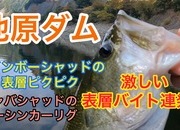 葛の葉店スタッフ　池原ダム釣果情報　【２０２２年１１月１７日】サムネイル