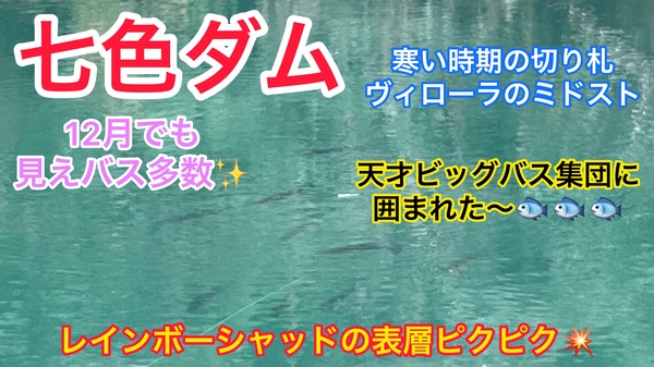 葛の葉店スタッフ　七色ダム釣果情報　【２０２２年１２月１３日】サムネイル