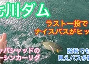 葛の葉店スタッフ　七川ダム釣果情報　【２０２２年１１月３０日】サムネイル